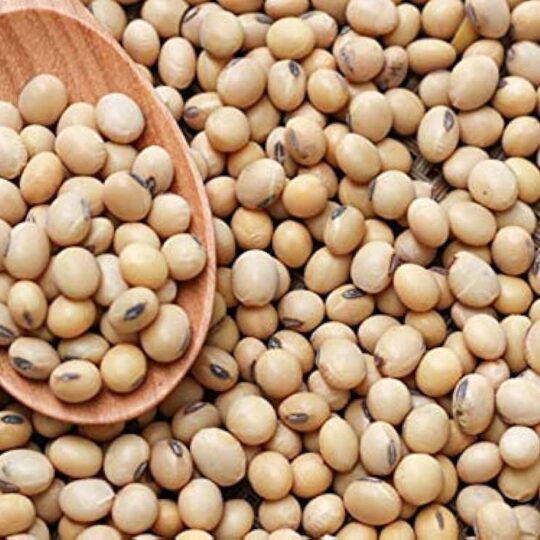 Soya Beans