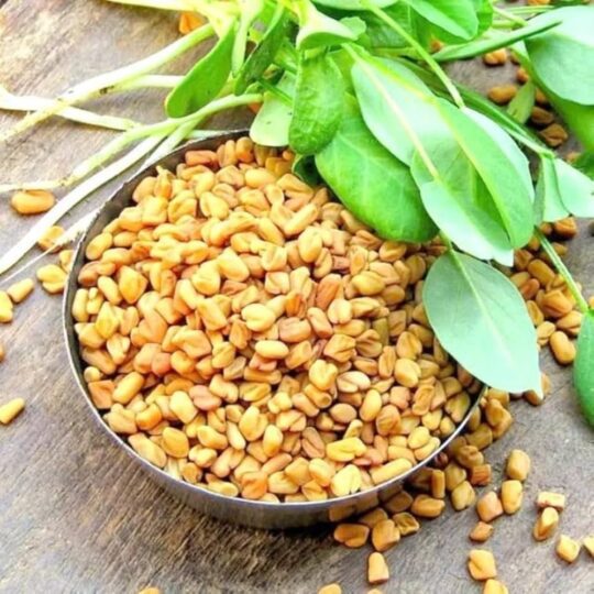 Fenugreek Seeds/Methi