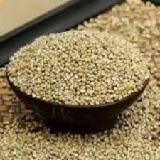 Desi Pearl Millet/Naatu Kambu
