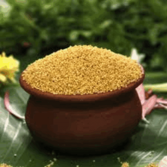 Thinai / Foxtail Millet