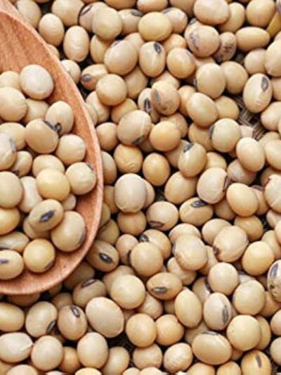 Soya Beans