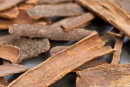 Cinnamon