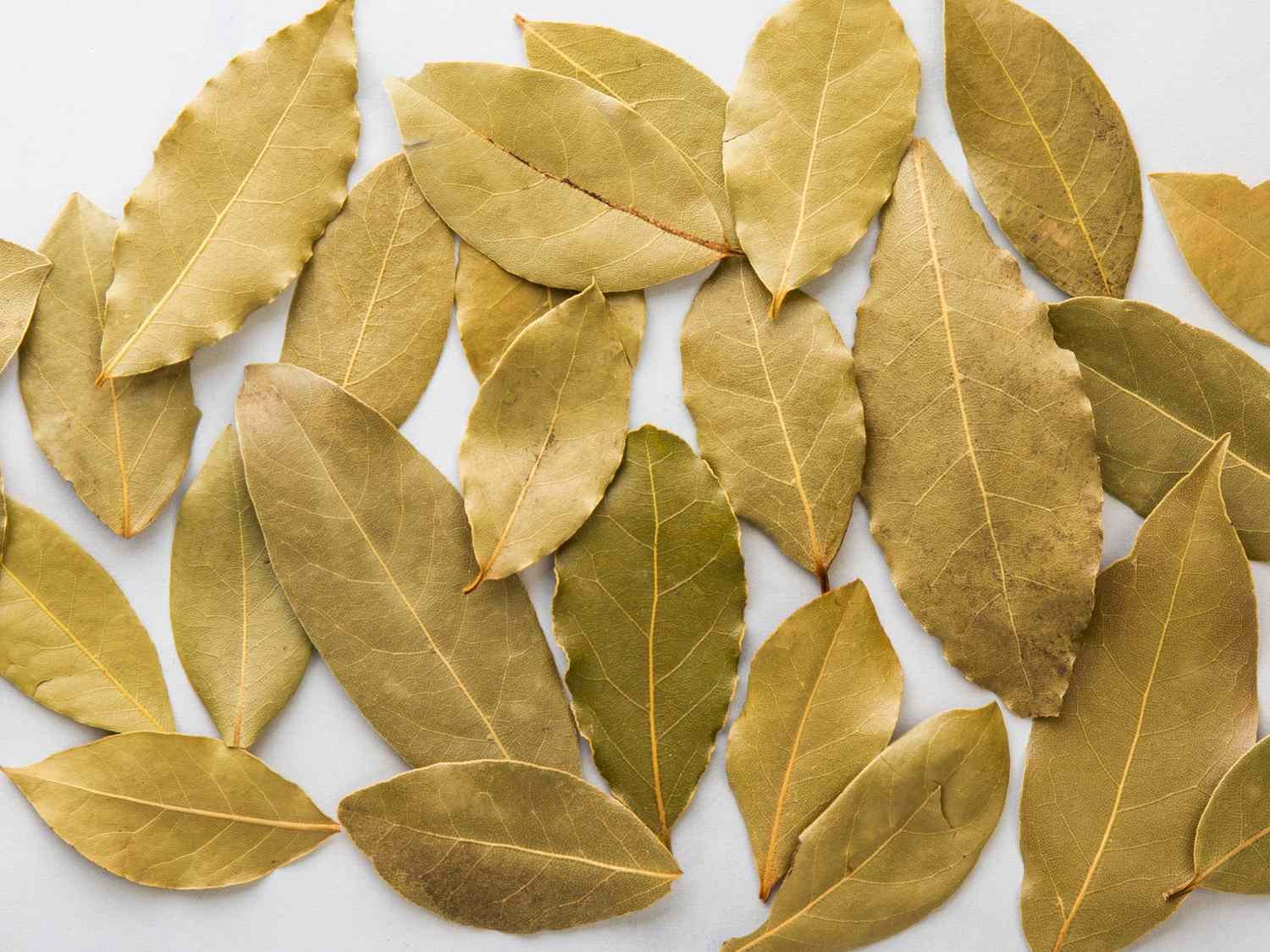 Bayleaf