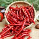 Dry Chilly Long