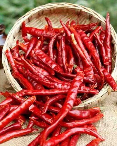 Dry Chilly Long