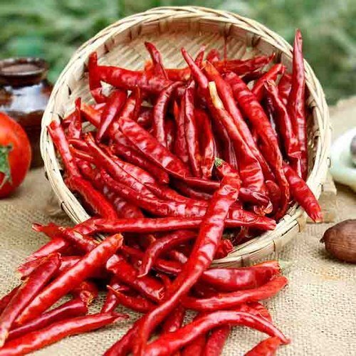 Dry Chilly Long
