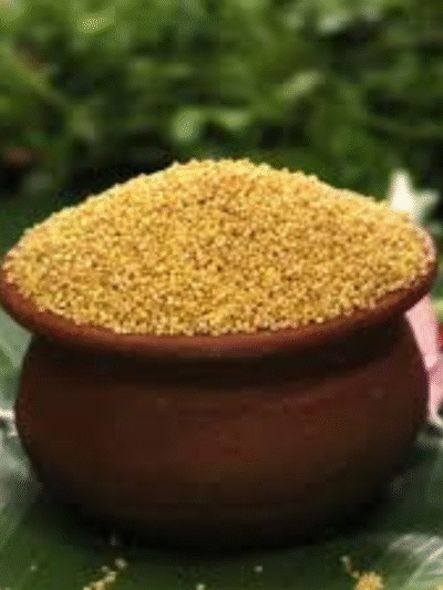 Thinai / Foxtail Millet