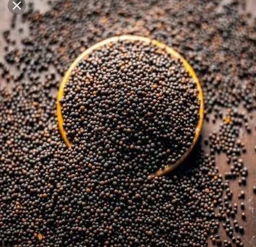 Mustard/Kadugu