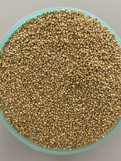 Browntop Millet/Kulasaamai Raw