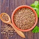 Coriander Seeds/Dhaniya